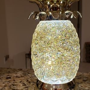 Bath and Body Works 2021  Pineapple water globe